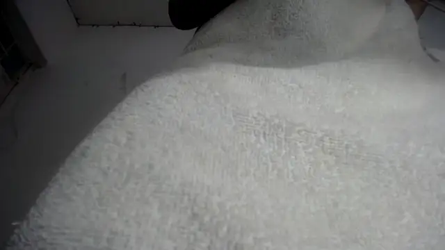 Foxy Lovex online show from 7, 2, 2026