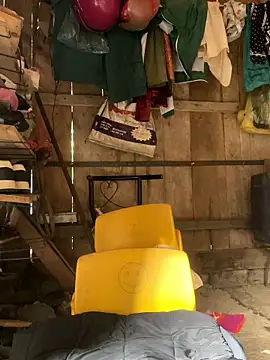 Sunyinn online show from 21, 12, 2025