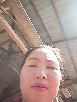 Snapshot of PhamPhung chatting on 27, 11, 2025 PhamPhung online show from 27, 11, 2025