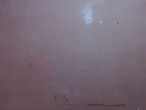 Kyoshi 19 online show from 12, 2, 2026