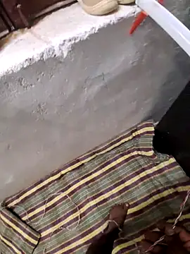 RAYI Queen 3 online show from 27, 11, 2025