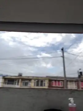 Sallem Pink online show from 19, 3, 2026