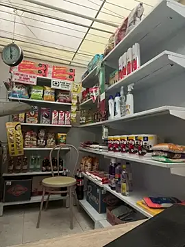 Sallem Pink online show from 14, 2, 2026