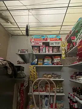 Sallem Pink online show from 30, 3, 2026