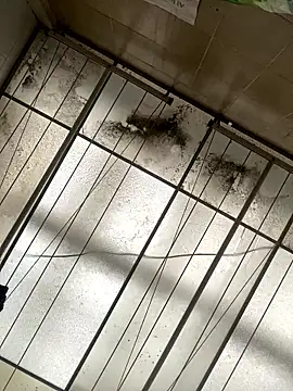 Sallem Pink online show from 16, 1, 2026