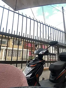 Sallem Pink online show from 17, 1, 2026