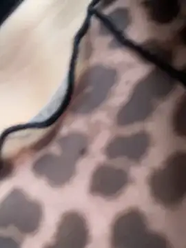 Sallem Pink online show from 6, 11, 2025