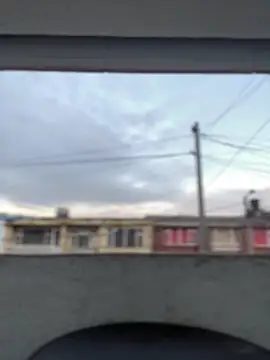 Sallem Pink online show from 13, 3, 2026