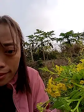 optra34 online show from 5, 2, 2026