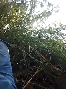 optra34 online show from 13, 10, 2025