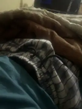 cuttieboii online show from 25, 4, 2026