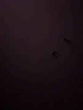 Cazzo1921 online show from 28, 4, 2026