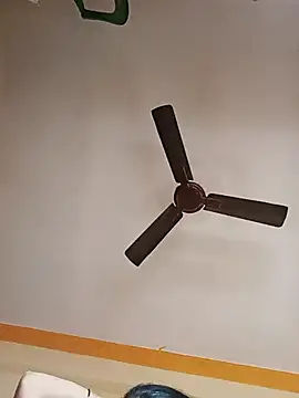 NISHU-TELUGU online show from 17, 12, 2025