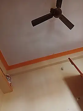 NISHU-TELUGU online show from 1, 4, 2026