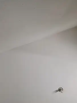 Yerystar online show from 25, 2, 2026