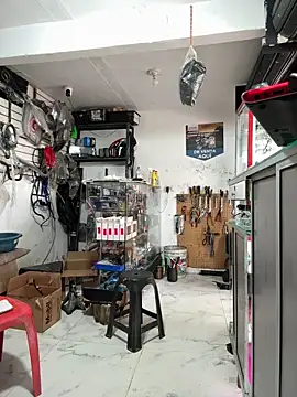 Terra-22cm online show from 20, 12, 2025