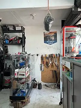 Terra-22cm online show from 4, 11, 2025