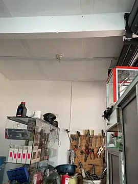 Terra-22cm online show from 1, 3, 2026