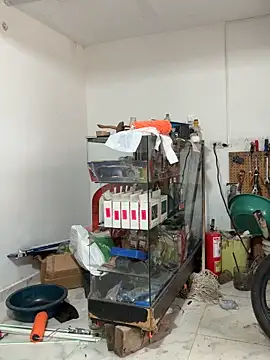 Terra-22cm online show from 13, 2, 2026