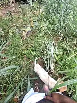 Negodabenga online show from 13, 2, 2026