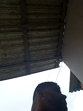 Negodabenga online show from 20, 2, 2026