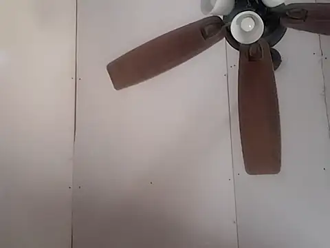 Snapshot of dandonn chatting on 2, 3, 2025 dandonn online show from 2, 3, 2025