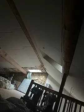 carapace31 online show from 26, 2, 2026