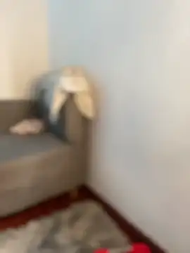 snow doll online show from 26, 3, 2026