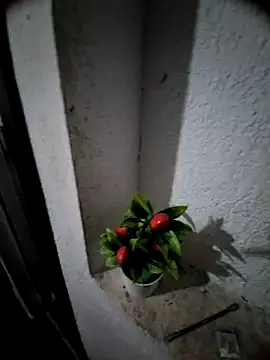 MIXJARABA online show from 8, 2, 2026