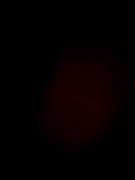 Daisygirl9 online show from 21, 2, 2026