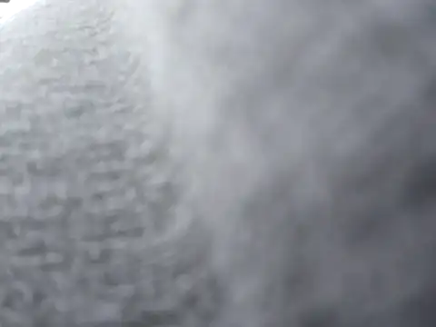 sloppytopkins online show from 22, 12, 2025