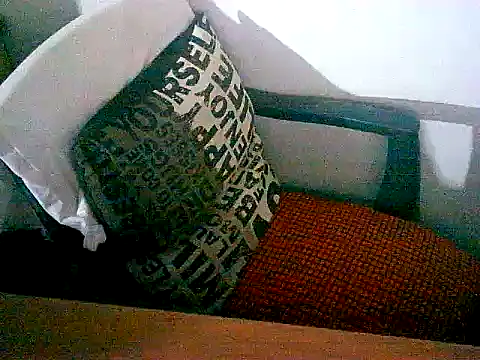 sacptjock83 online show from 17, 12, 2025