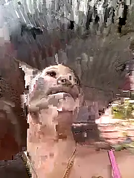 Rous-squir online show from 7, 1, 2026