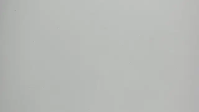 Snapshot of FluffyMelons chatting on 18, 5, 2026 FluffyMelons online show from 18, 5, 2026