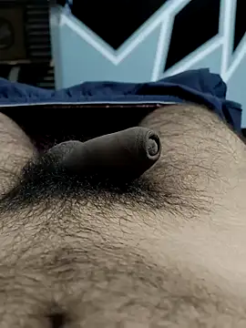 Bull54321 online show from 11, 9, 2025