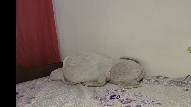 JullyanaRain online show from 3, 8, 2026
