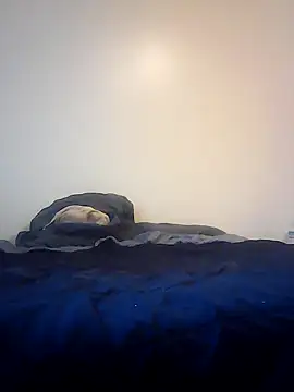 pullitoff online show from 26, 3, 2026