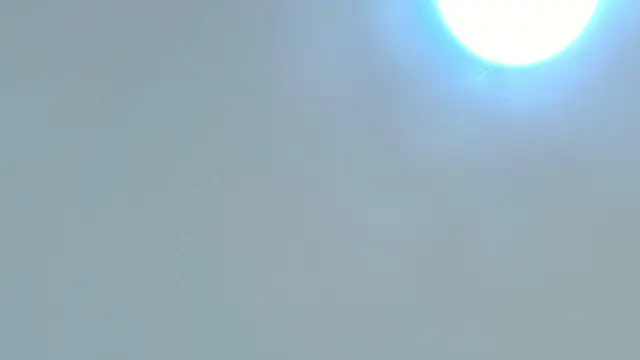 Dixie grey1 online show from 15, 10, 2025