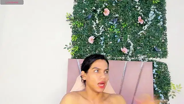 bxby dolls online show from 24, 11, 2025