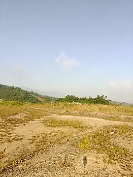 Snapshot of asian_2k chatting on 26, 11, 2025 asian 2k online show from 26, 11, 2025