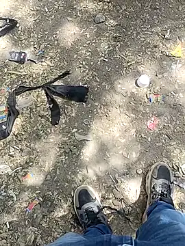 indian pavi online show from 3, 2, 2026