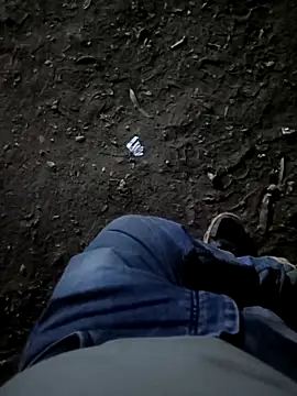 indian pavi online show from 27, 2, 2026