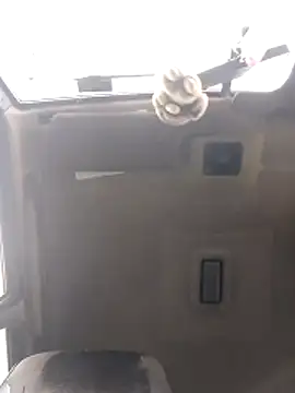 N i k o l a u online show from 27, 4, 2026