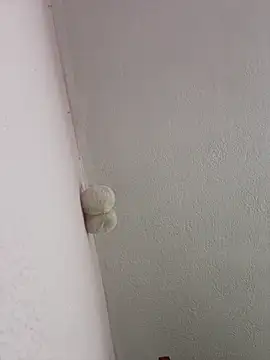 saranghae  online show from 2, 3, 2026