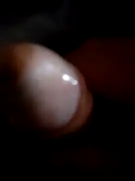 ratoncito 3 online show from 20, 11, 2025