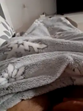 ratoncito 3 online show from 10, 11, 2025