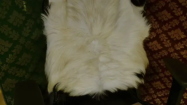 JUSTFORRICH online show from 20, 4, 2026