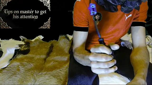 JUSTFORRICH online show from 15, 1, 2026