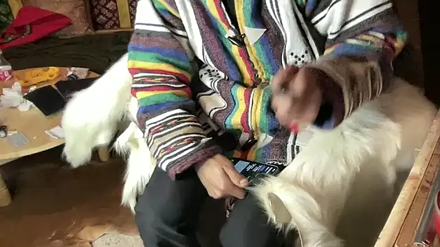 JUSTFORRICH online show from 23, 12, 2025