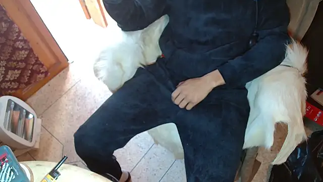 JUSTFORRICH online show from 7, 1, 2026